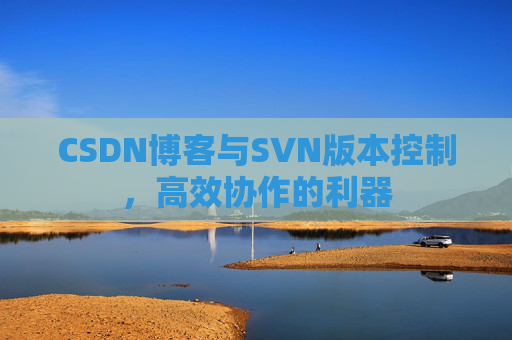 CSDN博客与SVN版本控制，高效协作的利器